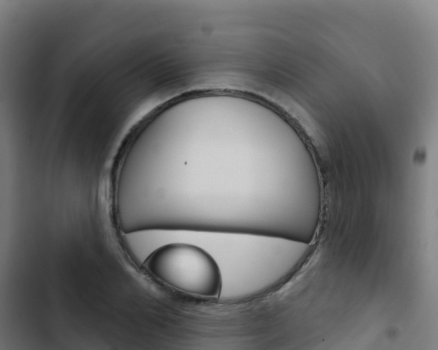 X0000103440982200809121057