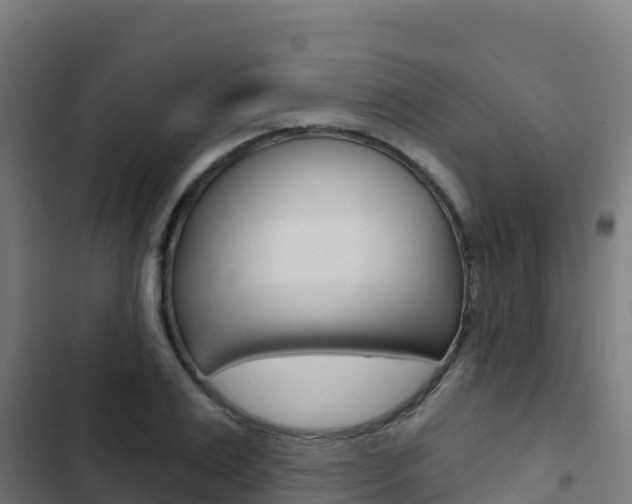 X0000103440983200809121057