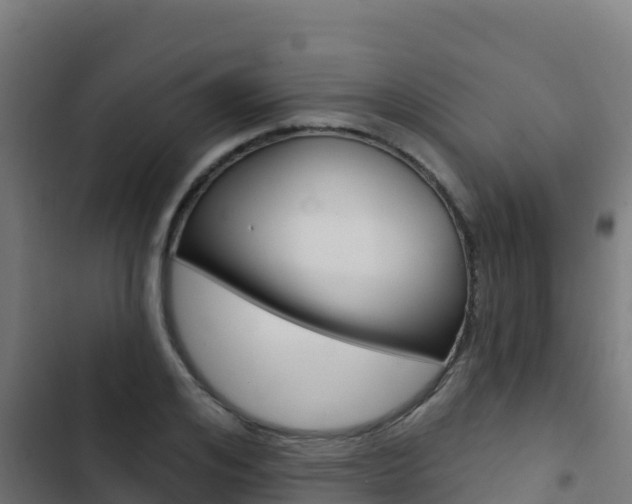 X0000103440984200809121057