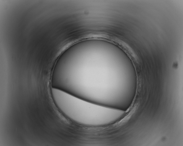 X0000103440985200809121057