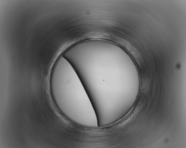 X0000103440986200809121057