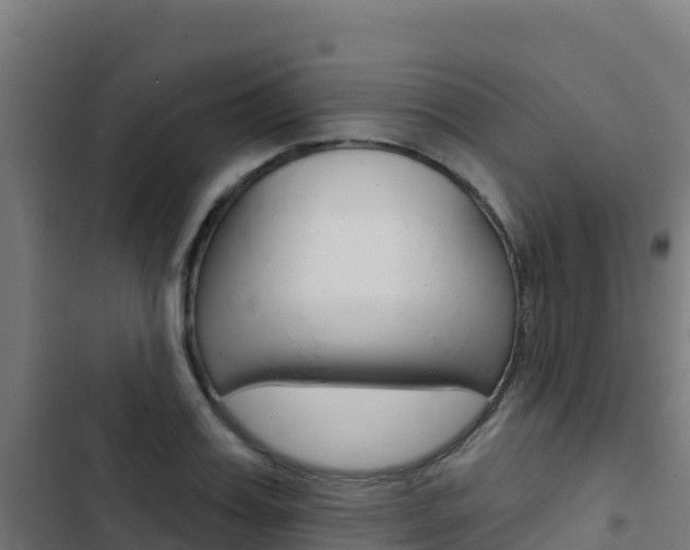 X0000103440987200809121057