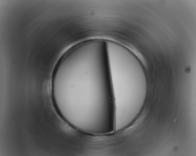 X0000103440988200809121057