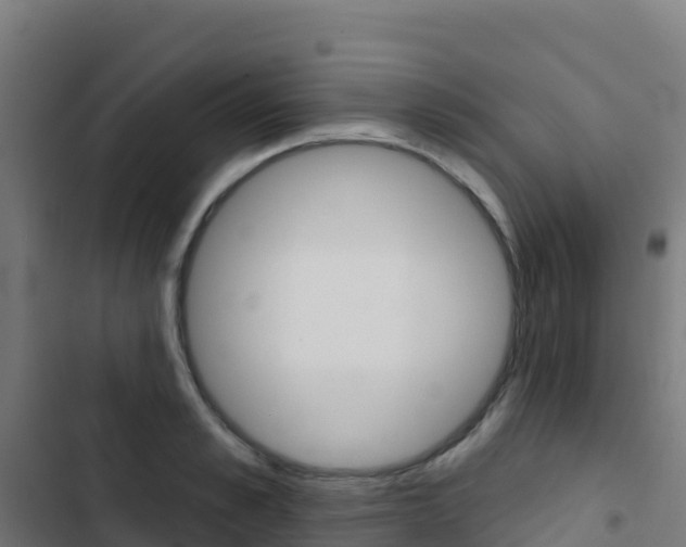 X0000103440989200809121057