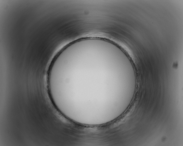 X0000103440990200809121057