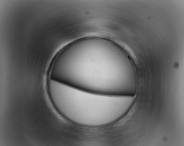X0000103440991200809121057