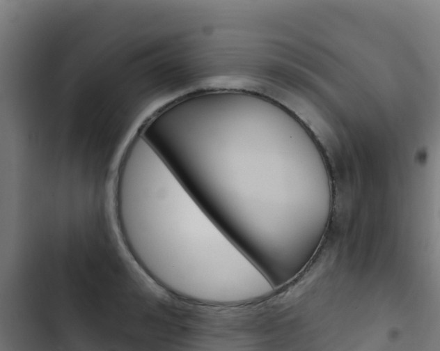 X0000103440992200809121057