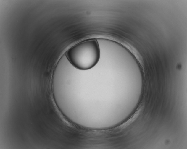 X0000103440993200809121057