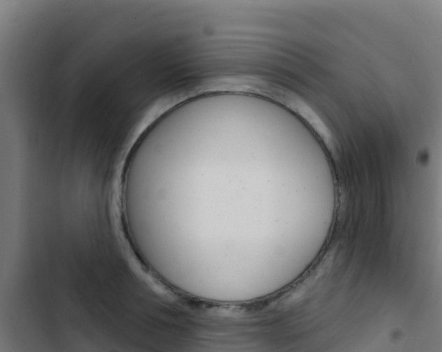 X0000103440994200809121057