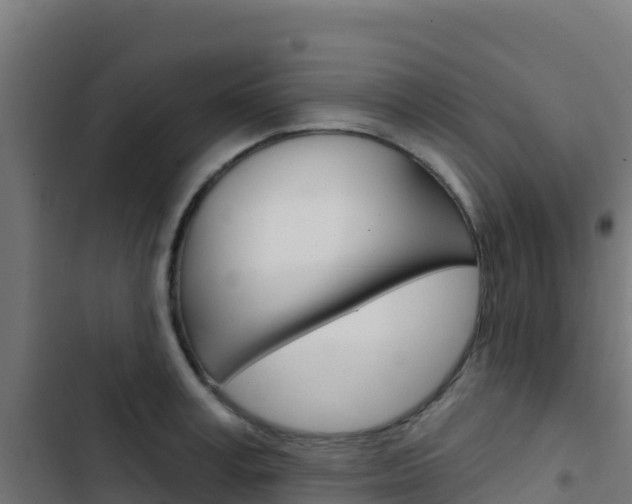 X0000103440995200809121057