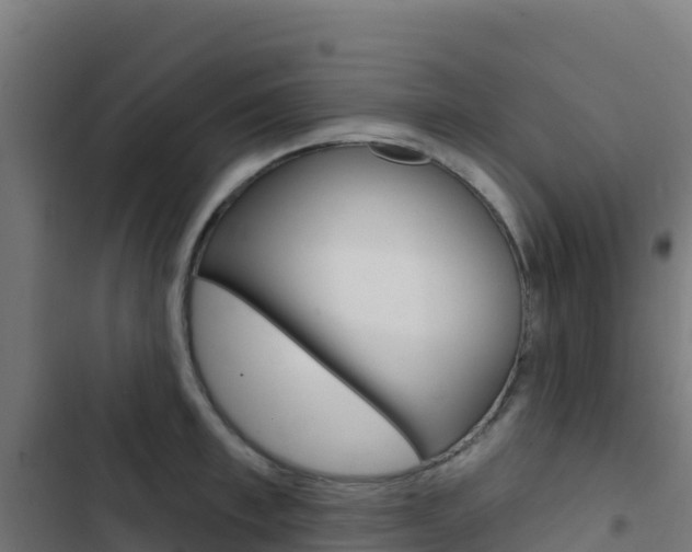 X0000103440997200809121057