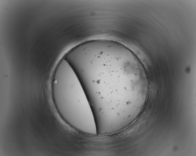 X0000103440998200809121056