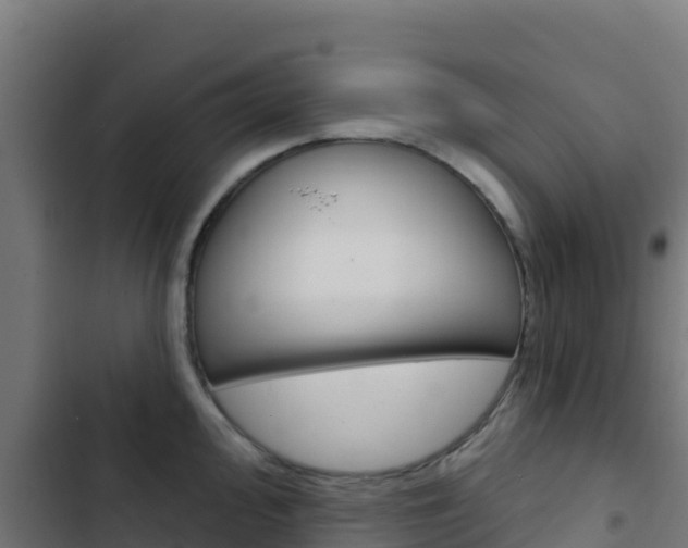X0000103441000200809121056