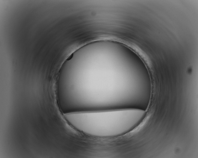X0000103441001200809121056