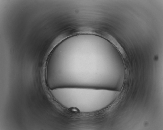 X0000103441002200809121056