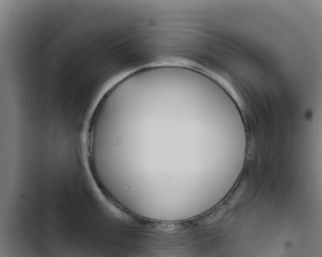 X0000103441003200809121056