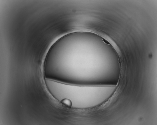 X0000103441004200809121056
