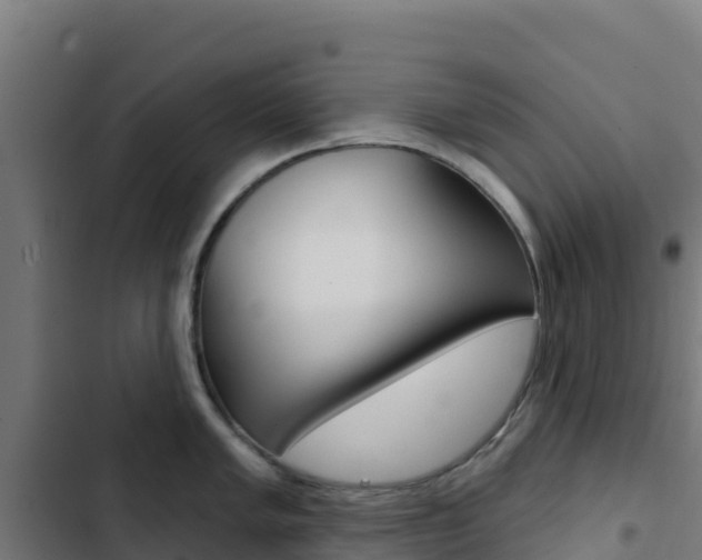 X0000103441005200809121056