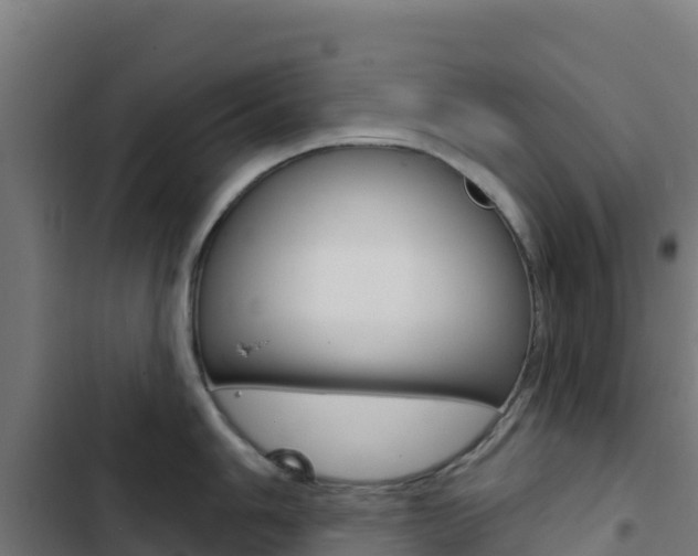 X0000103441006200809121056
