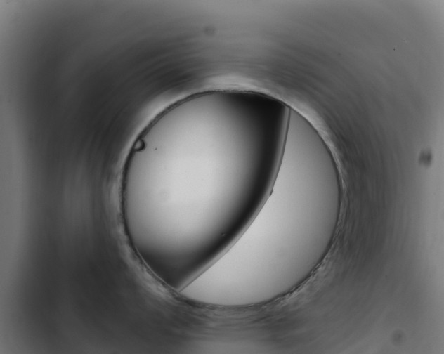 X0000103441008200809121056