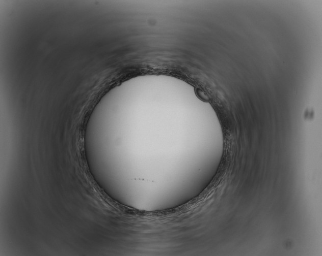 X0000103441009200809121056
