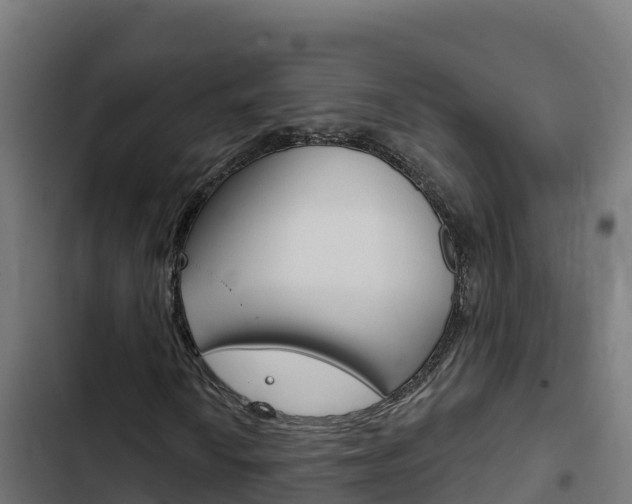 X0000103441010200809121056