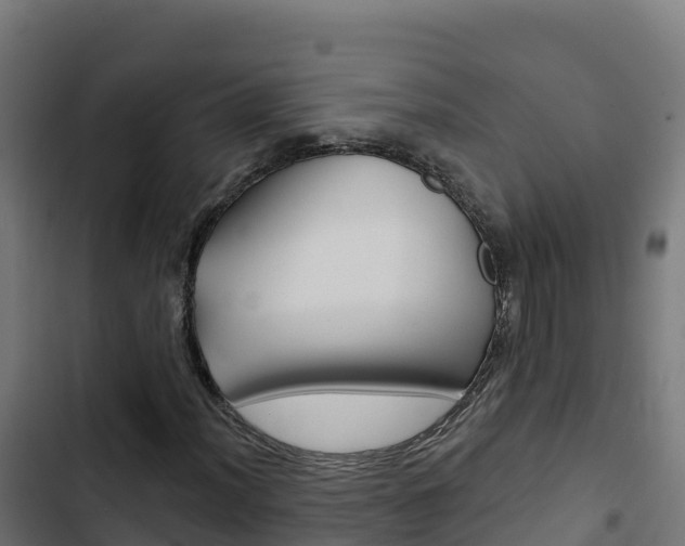 X0000103441012200809121056