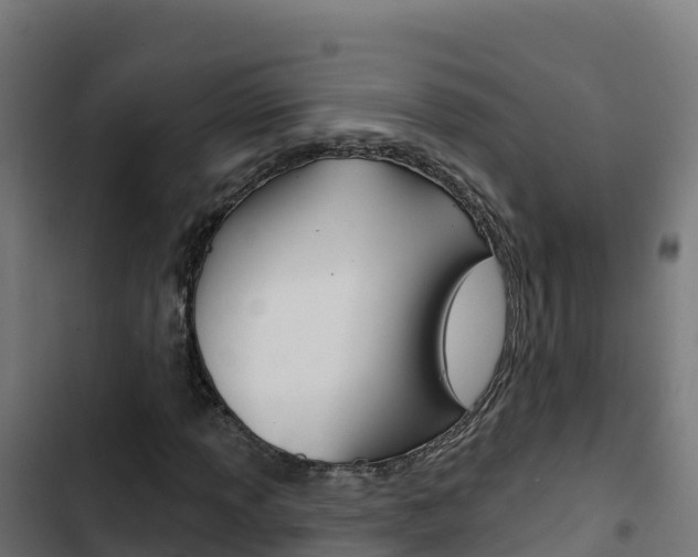 X0000103441013200809121056