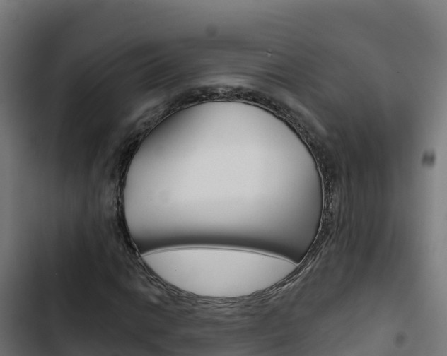 X0000103441014200809121056