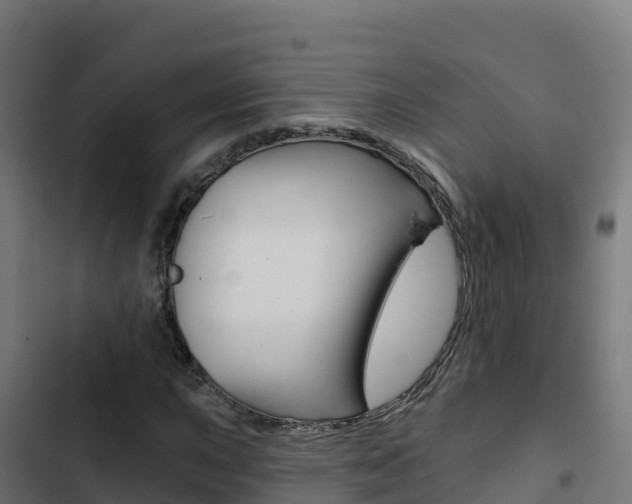 X0000103441015200809121056