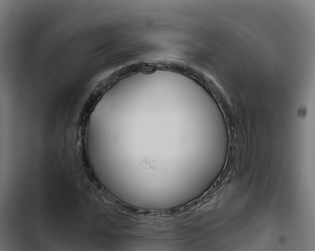X0000103441016200809121056