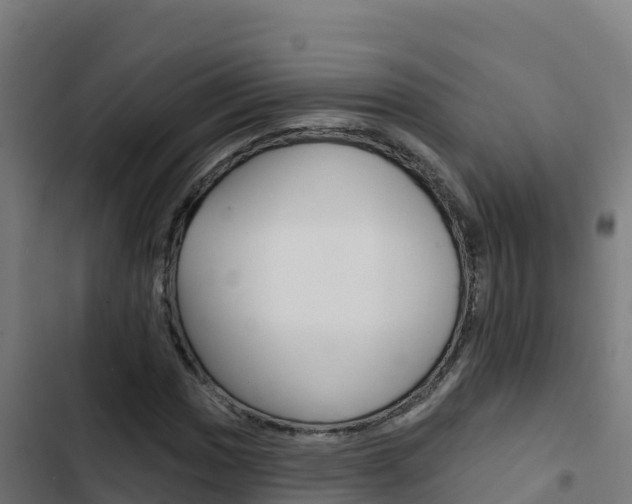 X0000103441017200809121056