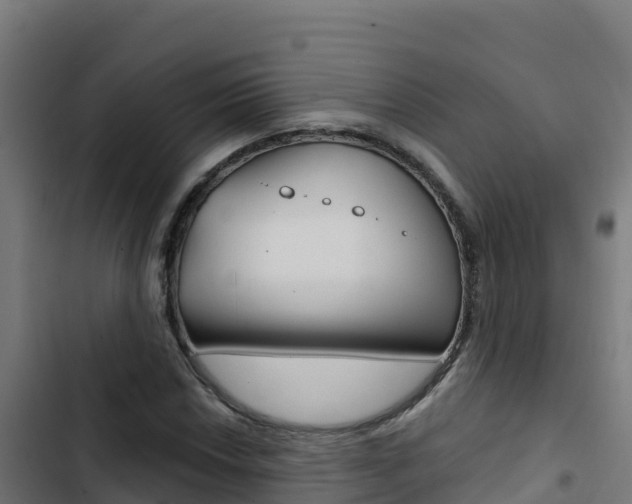 X0000103441018200809121056