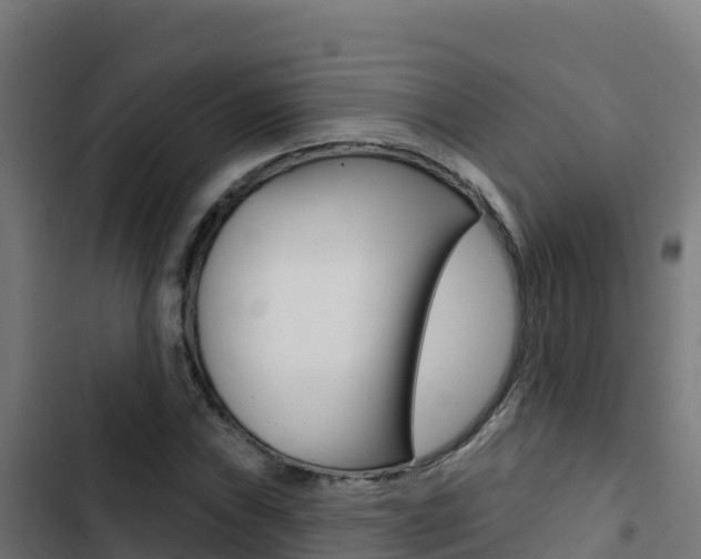 X0000103441019200809121056
