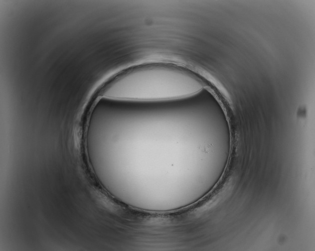 X0000103441021200809121056