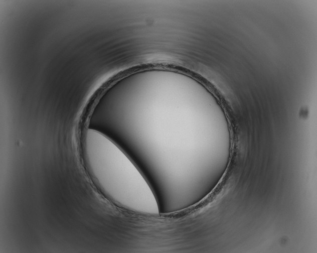 X0000103441022200809121056