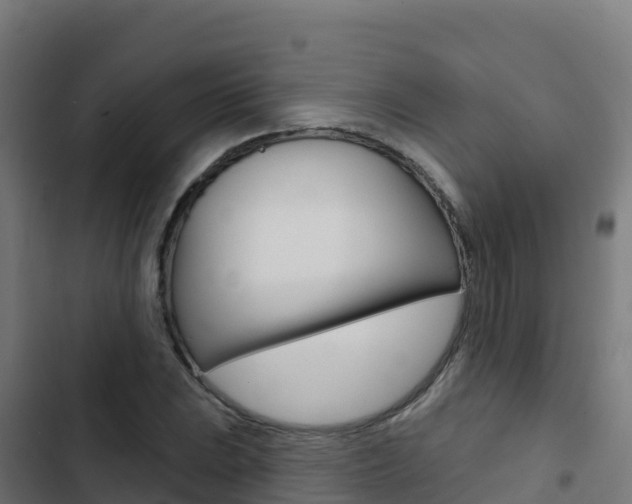 X0000103441023200809121056