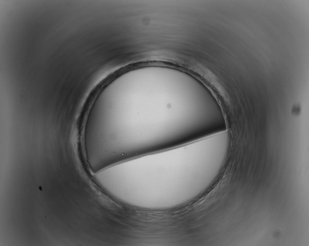 X0000103441024200809121056