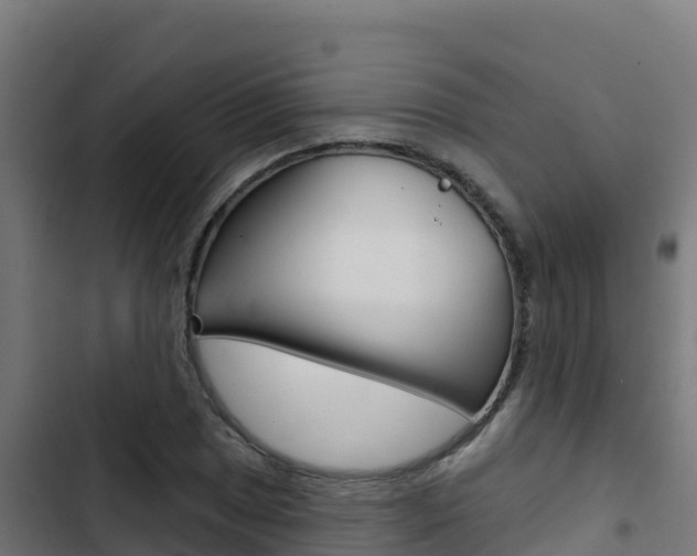 X0000103441025200809121056