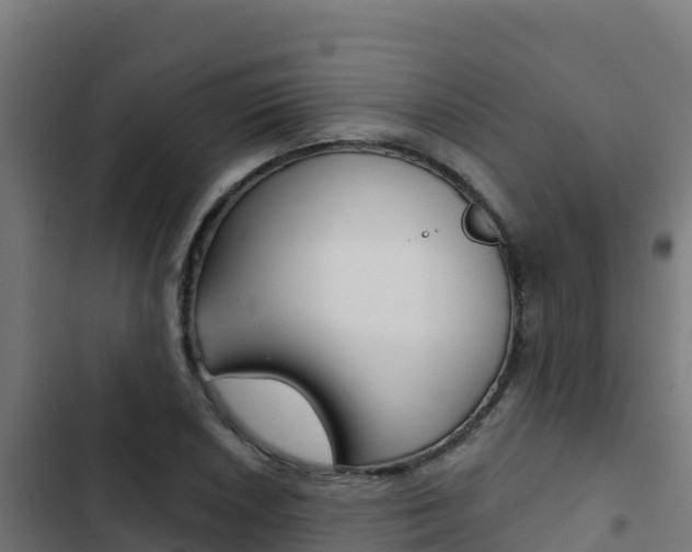 X0000103441026200809121056