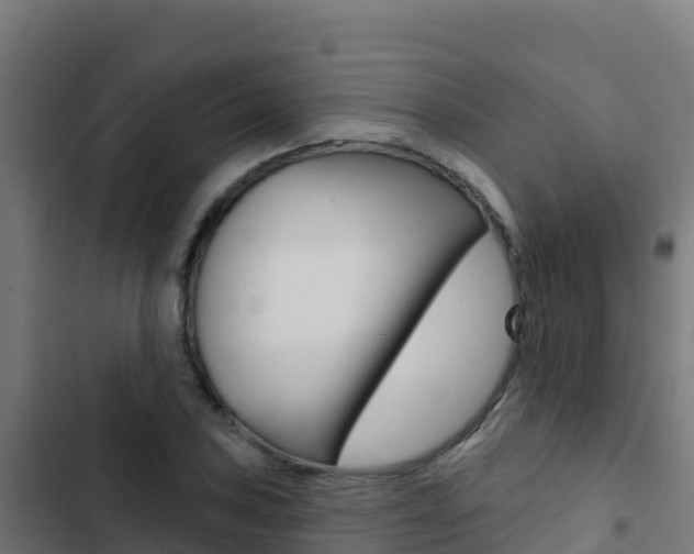 X0000103441027200809121056
