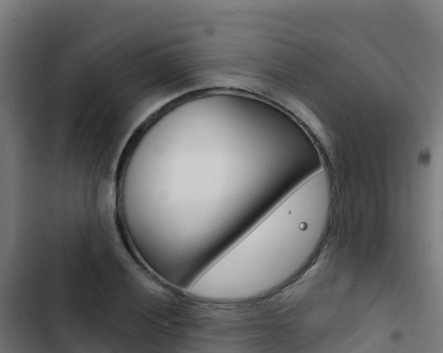 X0000103441028200809121056