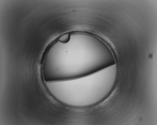X0000103441029200809121056
