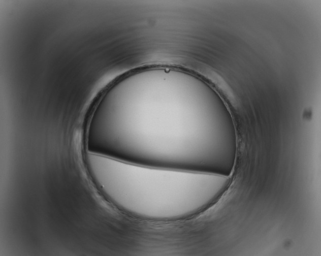 X0000103441030200809121056