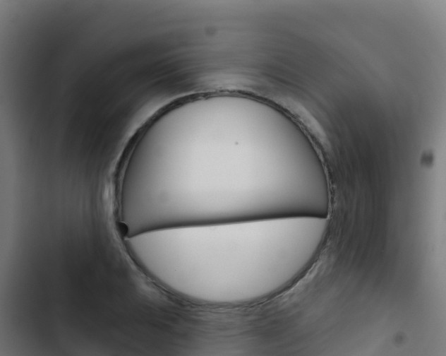 X0000103441031200809121056