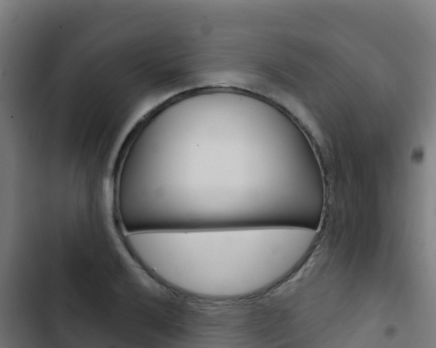 X0000103441032200809121056