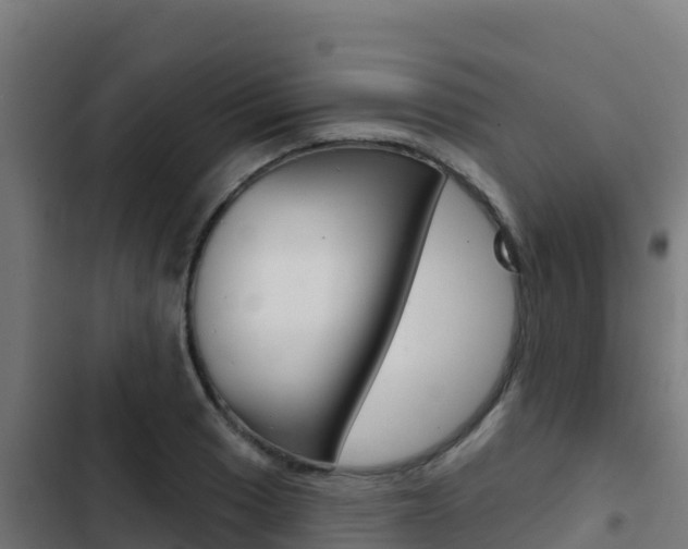X0000103441033200809121056