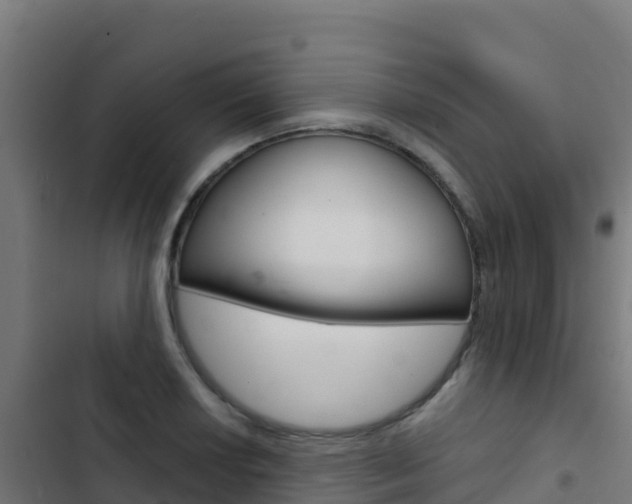 X0000103441034200809121056