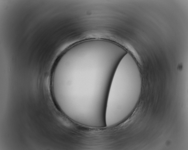 X0000103441035200809121056