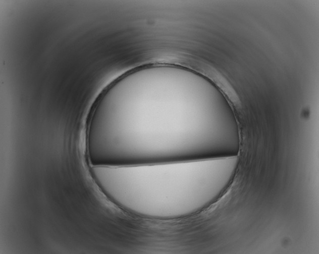 X0000103441036200809121056